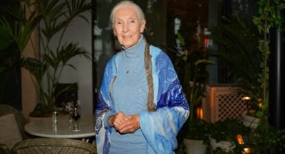 on-her-90th-birthday,-jane-goodall-tells-us-her-wish