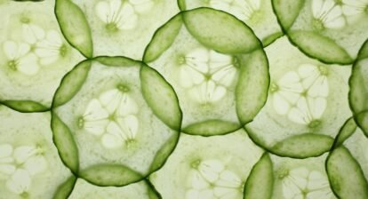 5-health-benefits-of-the-humble-cucumber,-which-is-suddenly-viral